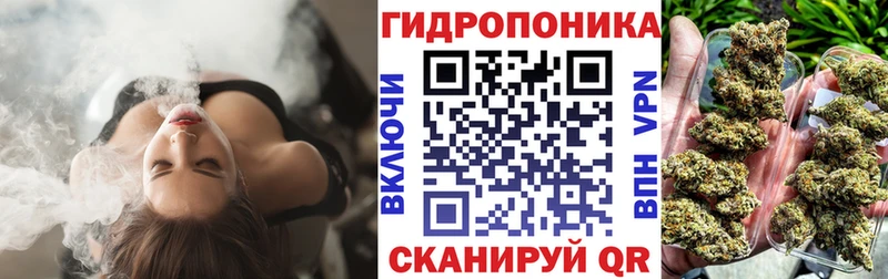 Где купить наркотики Енисейск Alpha-PVP  Марихуана  Меф  Гашиш  Псилоцибиновые грибы  Cocaine 