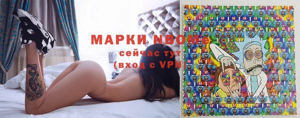 мдпв Рославль